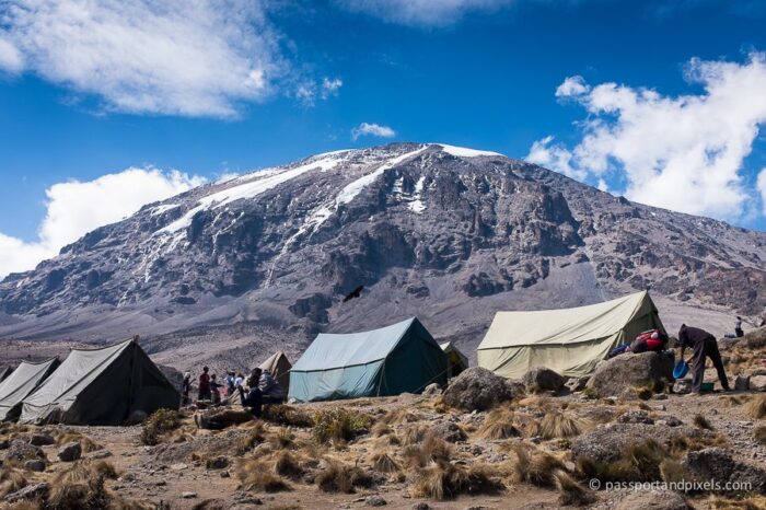 Kilimanjaro,Lemosho Route 8 Days Climb